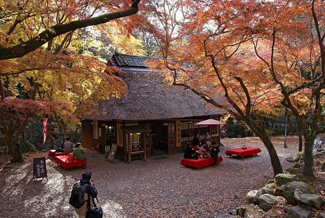 nara_park3.jpg