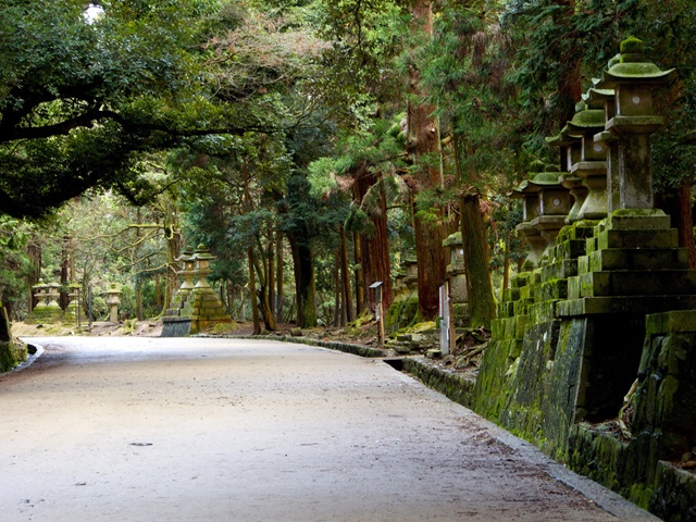 nara_park31.jpg