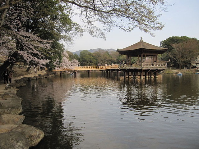 nara_park4.JPG