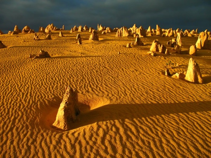 pinnacle_desert7.jpg