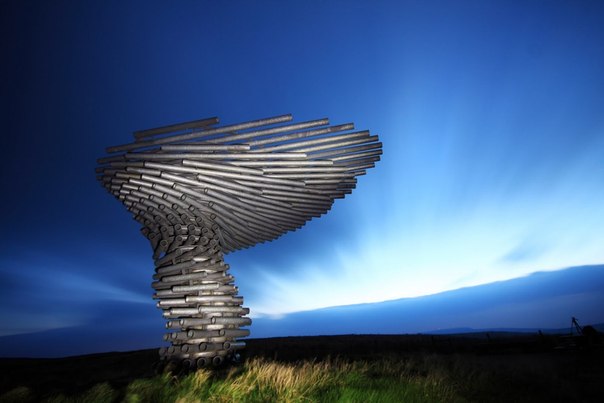 singing-ringing_tree7.jpg