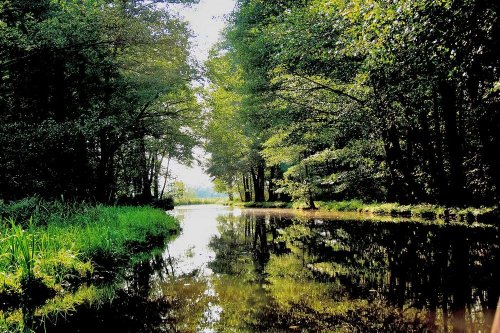 spreewald14.jpg