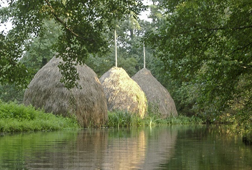 spreewald15.jpg