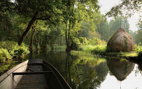 spreewald19.jpg