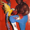 Parrot Nigger