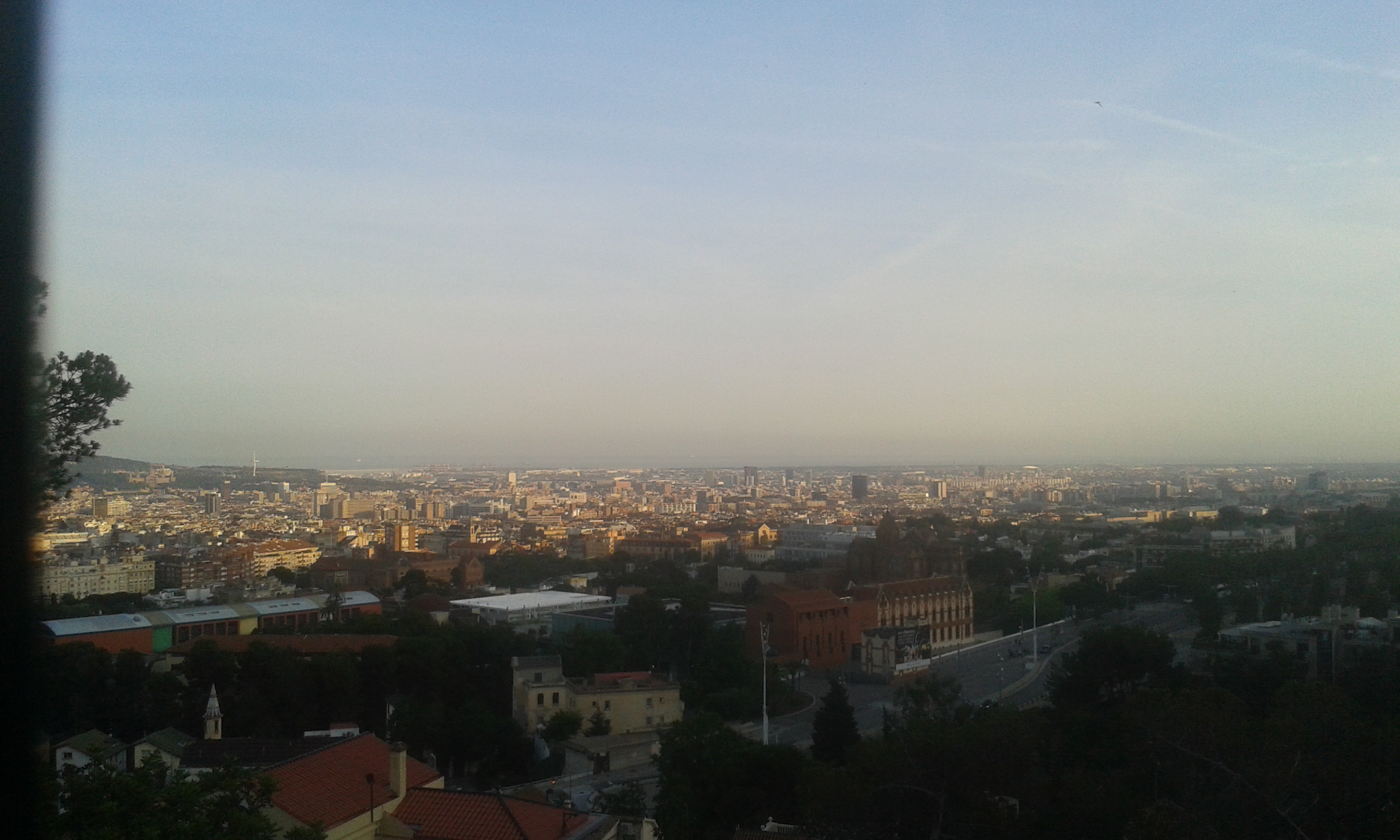 20170609_203617.jpg