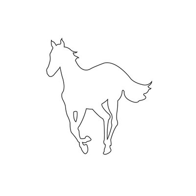 white_pony.jpg