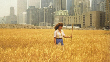 Egy magyar nő, aki búzát termelt a World Trade Center árnyékában