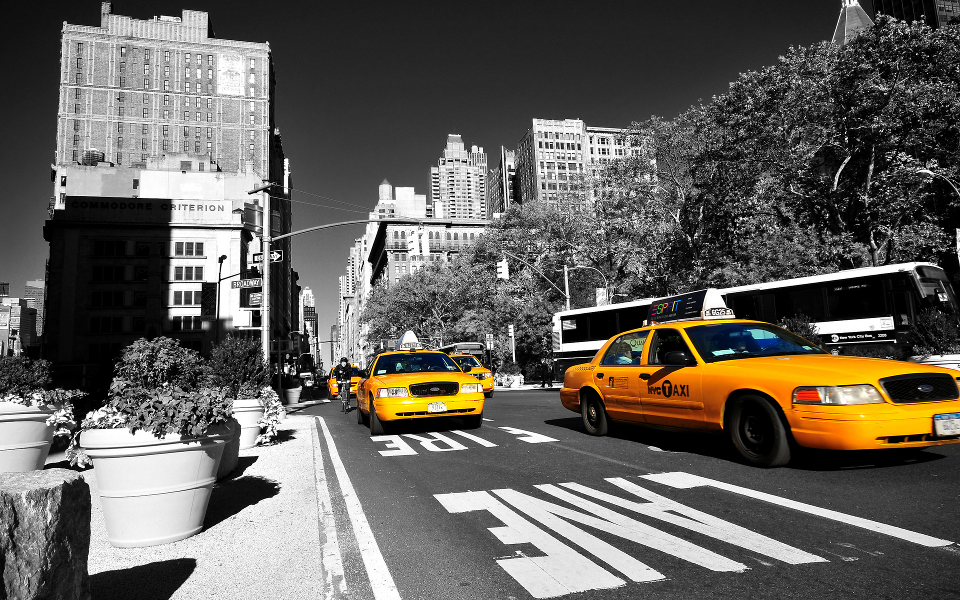 new-york-taxi-hd-free-for-1537434.jpg