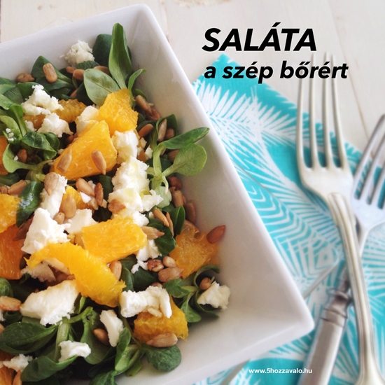 salata_a_szep_borert.jpg