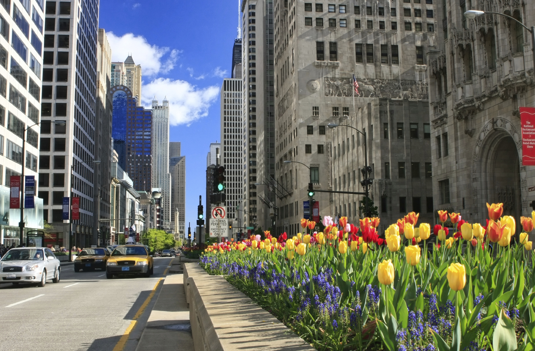 chicago-mag-mile-bloom-16024579.jpg