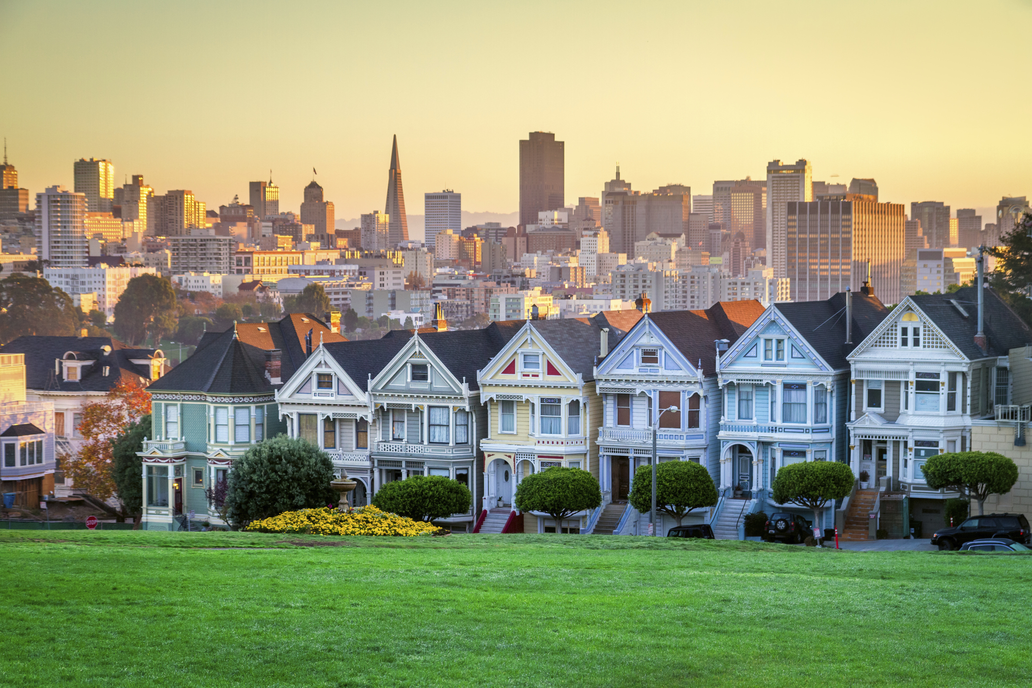 painted_ladies.jpg