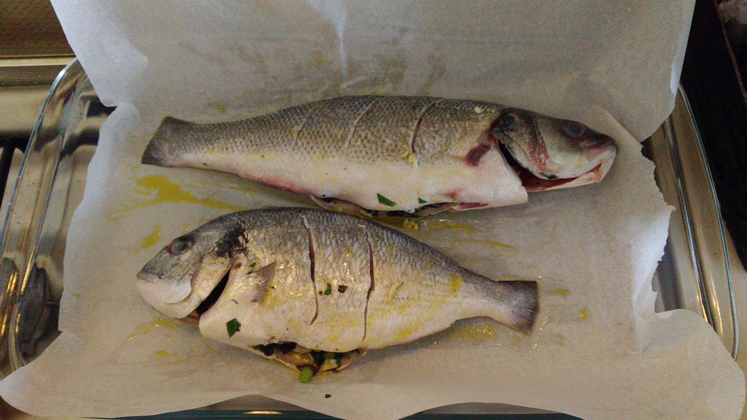 dorada2.jpg