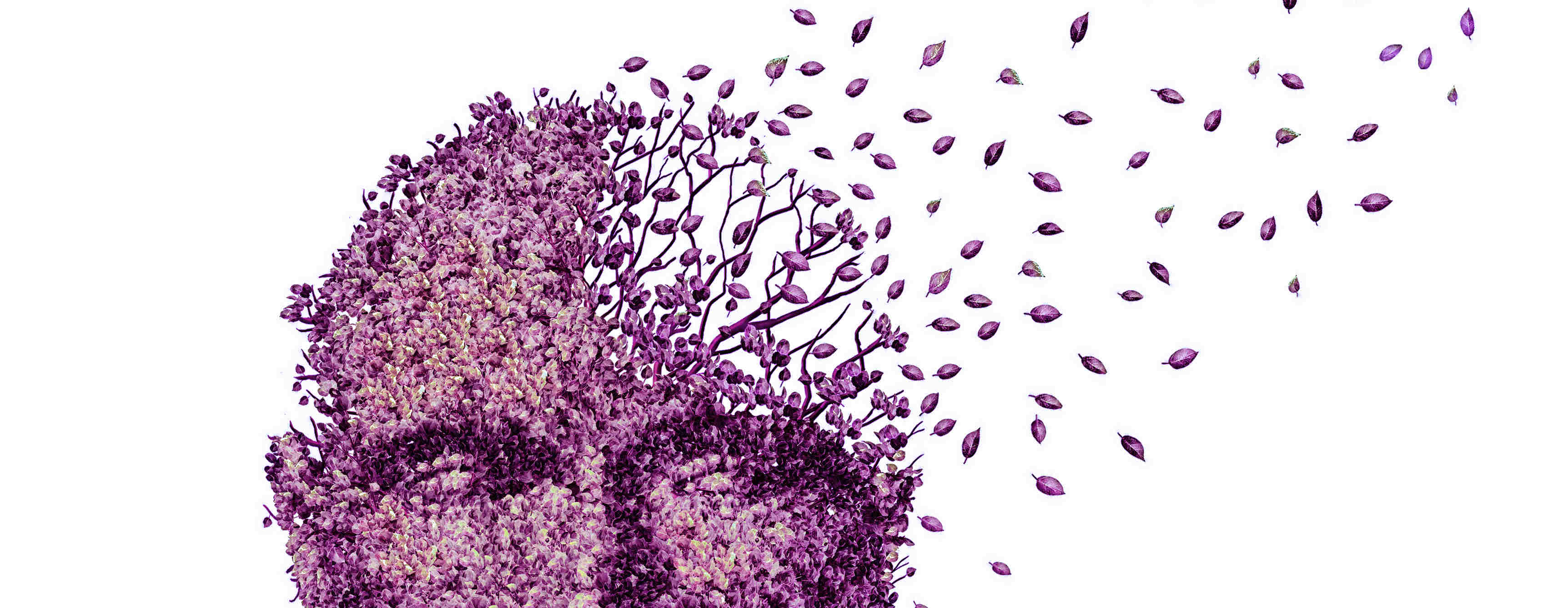 dementia_istock_000029744938_large.jpg