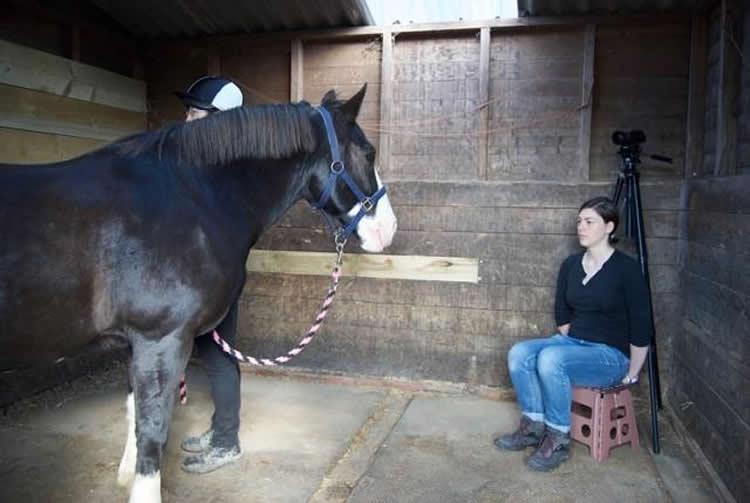 horse-facial-recognition-neurosciencneews.jpg