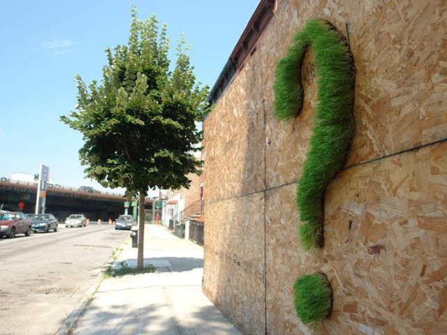 Növénygraffiti és digitális üzenőfal a Duna-parton