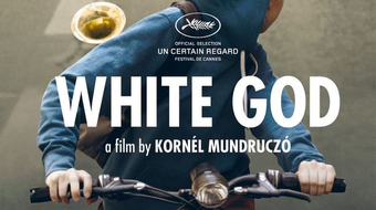 A Fehér Isten nem megy az Oscarra