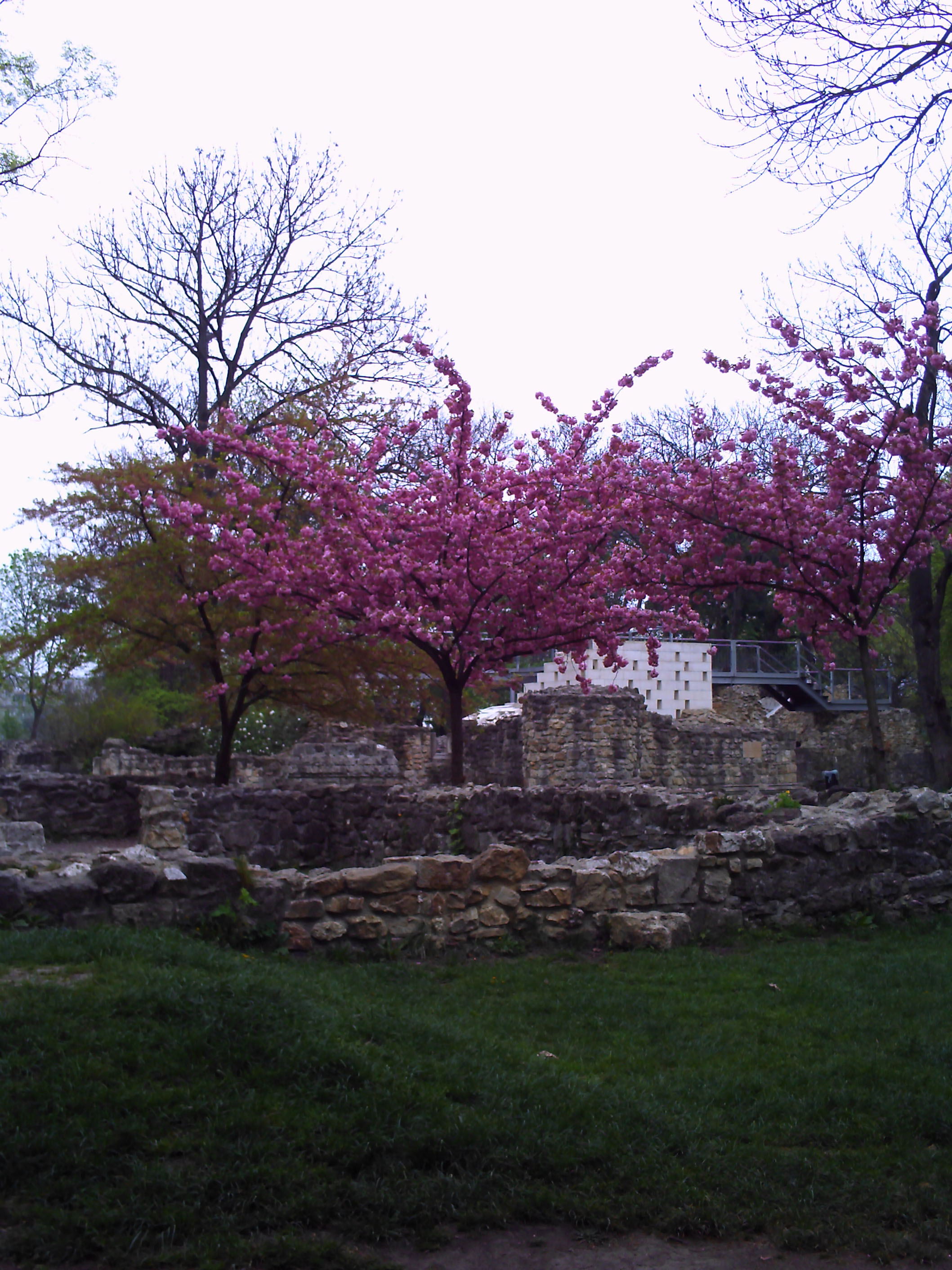 Kolostorromok