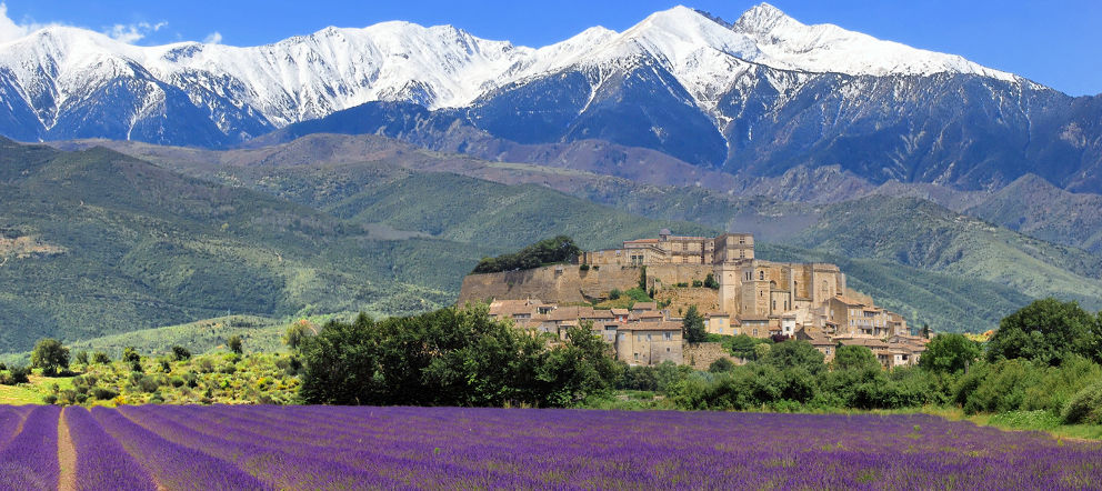 lavande--tilio--paolo---fotolia.com.jpg