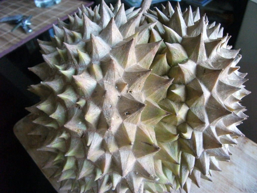 durian3.JPG