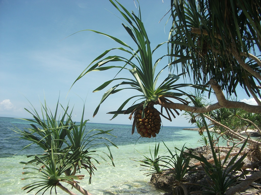 bohol 026.JPG