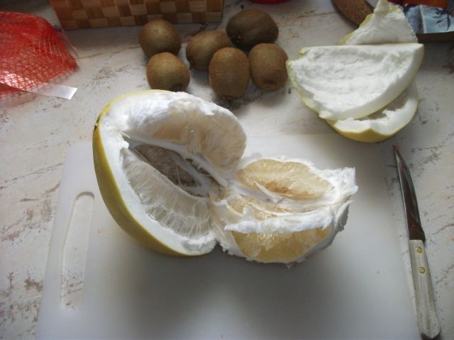Tipikus citrus