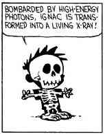 xray4.jpg