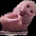 A férjed másnaposan :D