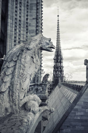 notre-dame_vizkopo.jpg