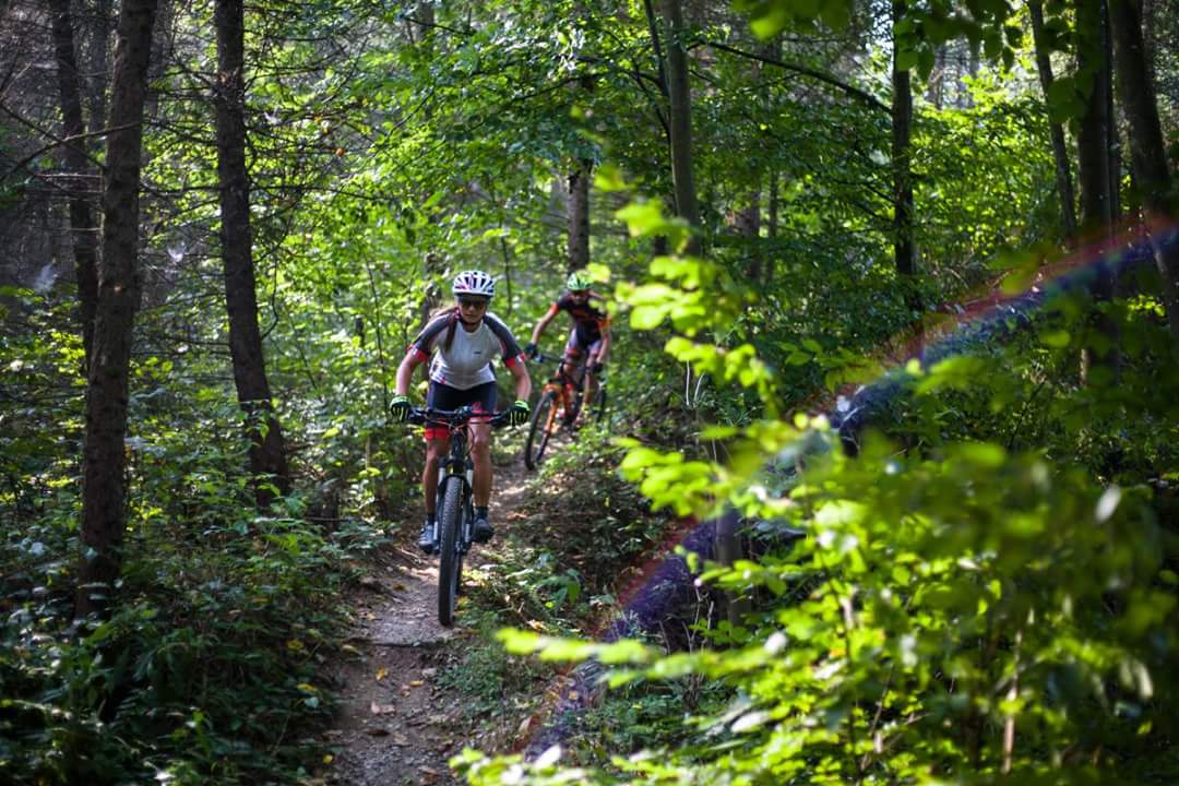 kassa-singletrack-2018-6.jpg