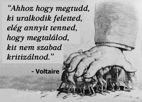 voltaire-quote_copy.jpg