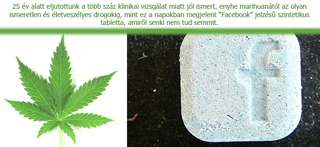 marihuana-vs-facebook-drug_copy.jpg