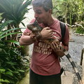 Fehér kígyó, bújkáló varánusz, lecsapó sas - Bird Park Bali