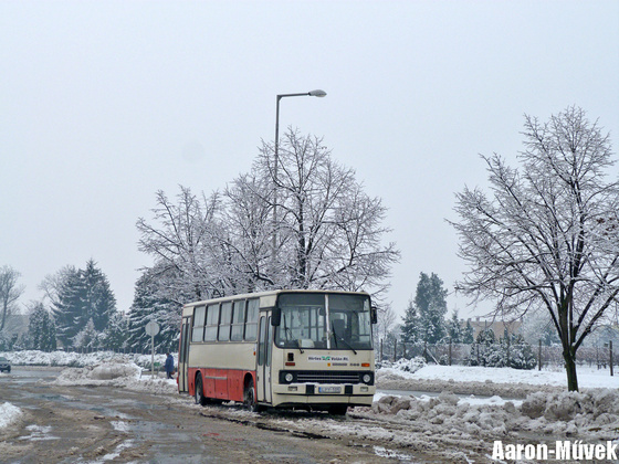 Oroszlány (3)