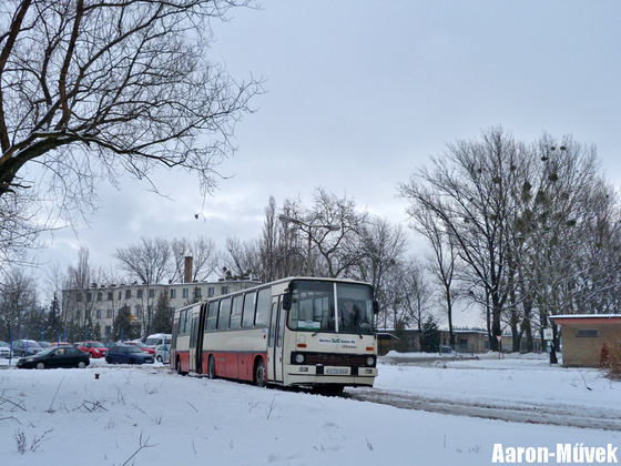 Oroszlány (6)