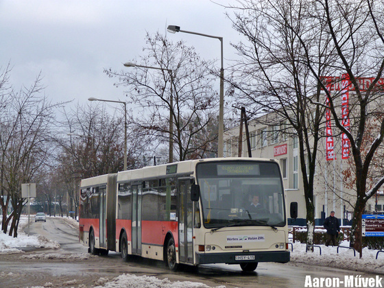 Oroszlány (10)