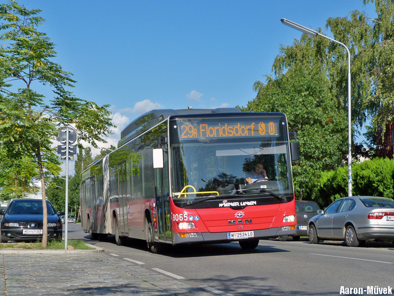 Sommerticket 2 (20)