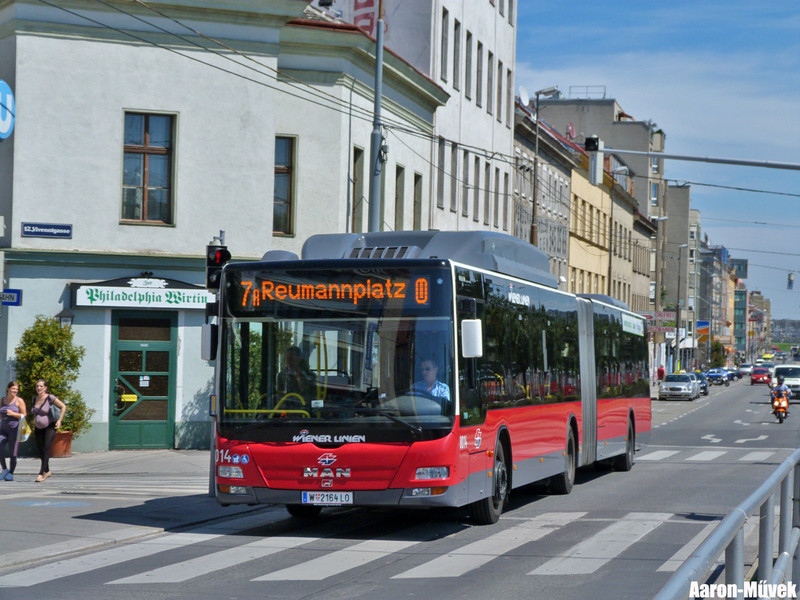 Bécsi kolbászolás (14)
