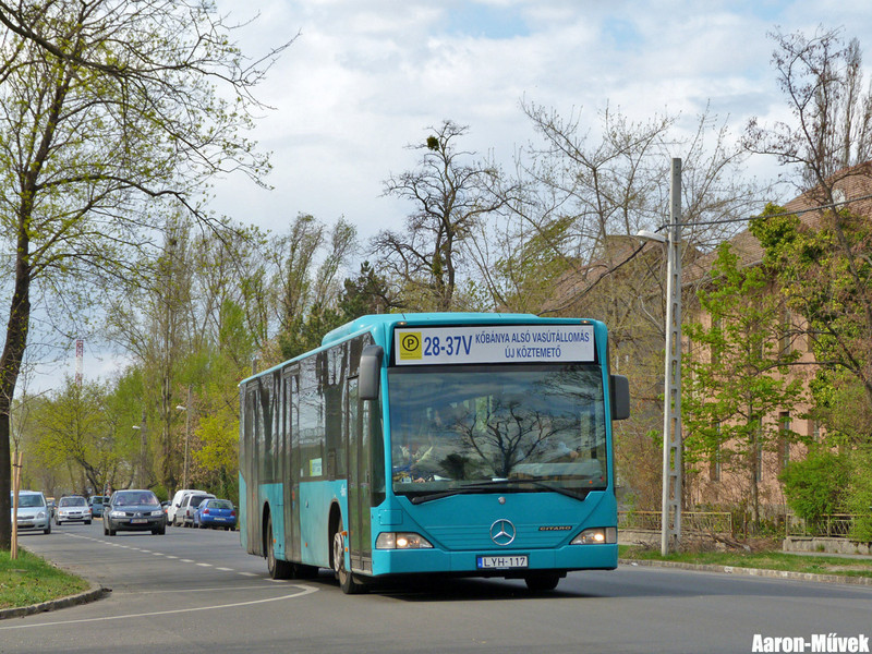 Ein Frankfurter bitte (13)