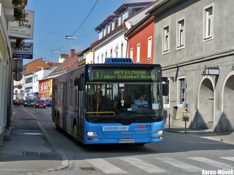 Tour de Gmunden (2)