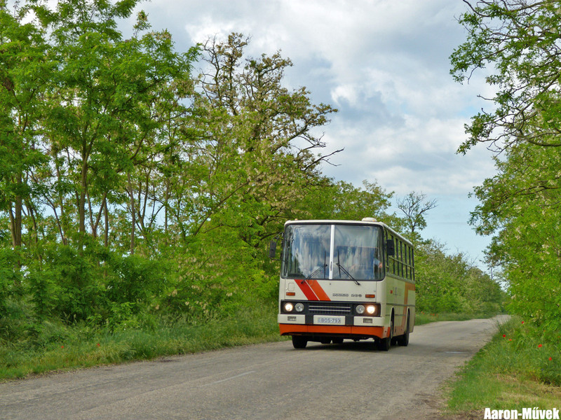 Kisalföldi rendszámvadászat (2)