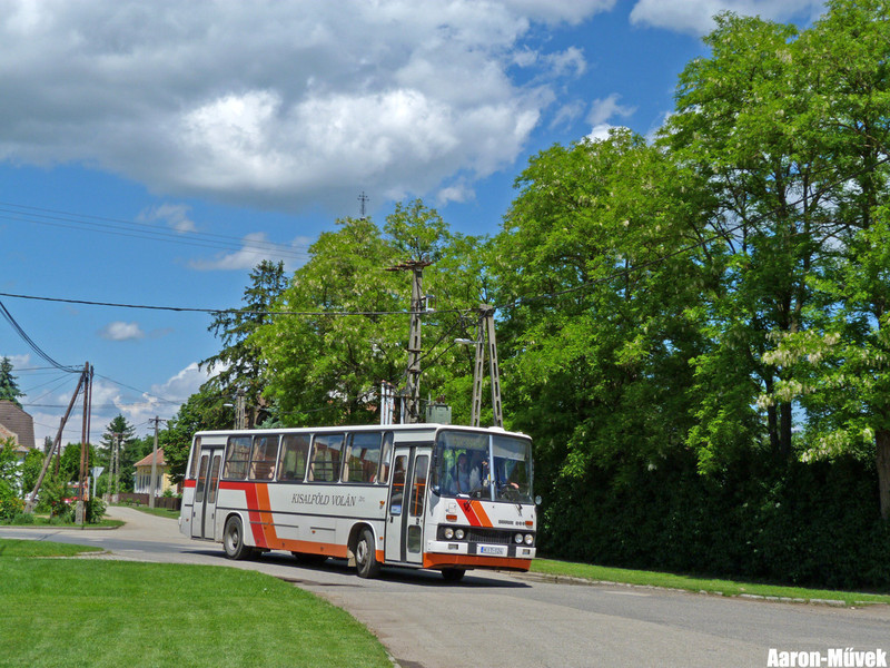 Kisalföldi rendszámvadászat (17)