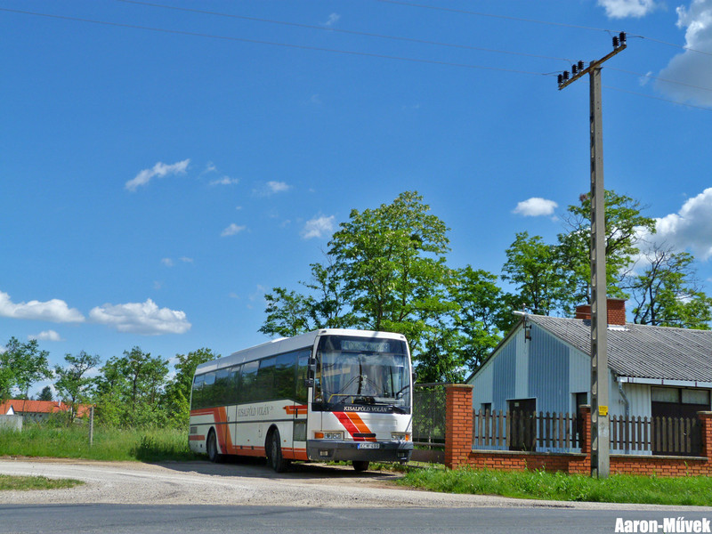 Kisalföldi rendszámvadászat (22)