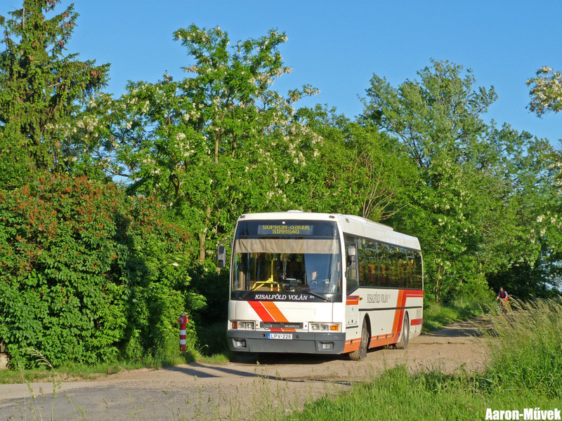 Kisalföldi rendszámvadászat (30)