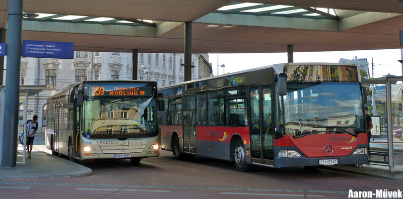 Egy kicsi mindenhonnan (0)
