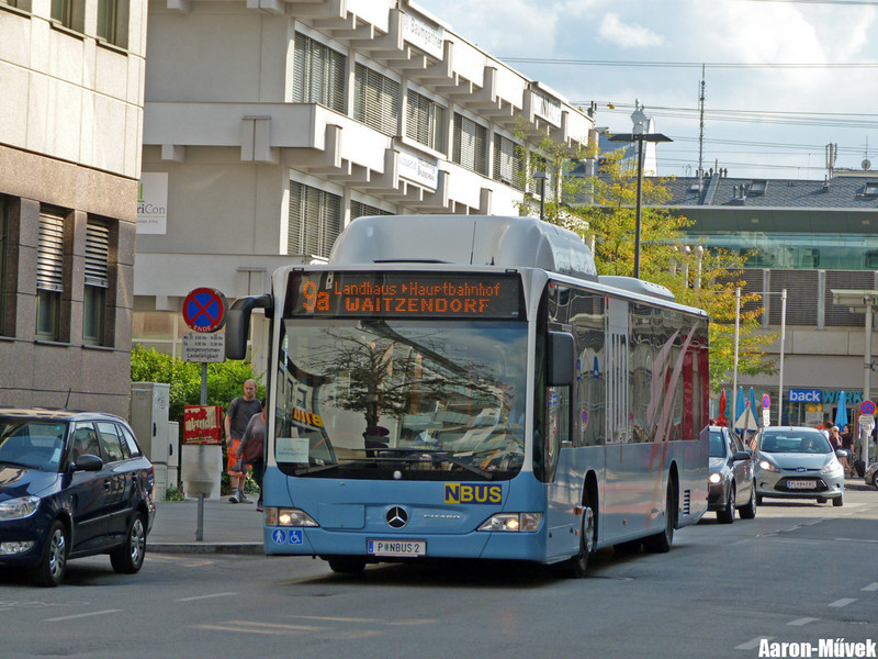 Egy kicsi mindenhonnan (14)