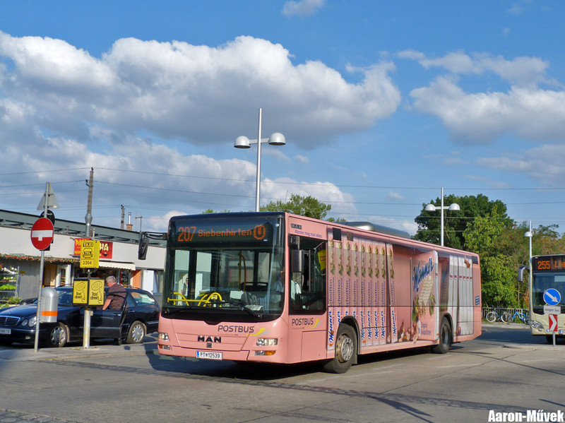 Egy kicsi mindenhonnan (19)
