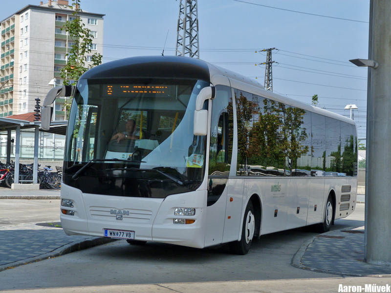A két Bruck (12)