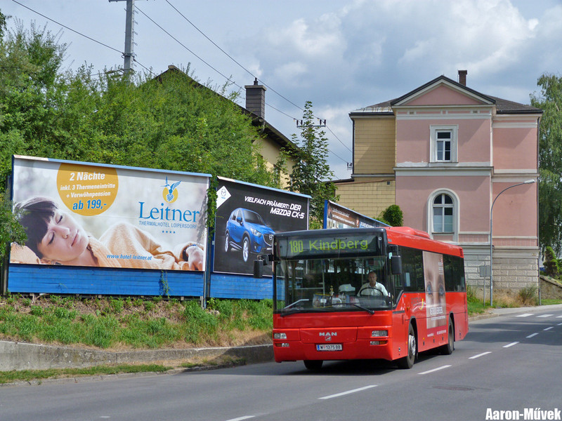 A két Bruck (13)