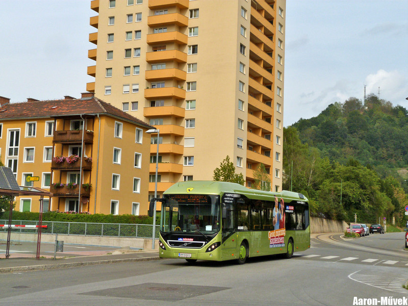 A két Bruck (19)